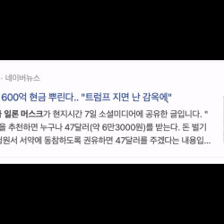 일론: 트럼프가 지면 저 진짜 X됩니다