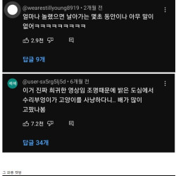 부엉이가 신기한 여학생들