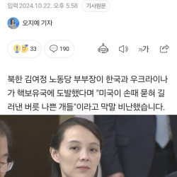 김여정 한국·우크라, 정신 나간 것들...핵보유국에 도발