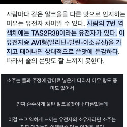 소주가 역해서 맛이 없다는 사람들