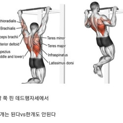 성인남성 풀업1개 논제