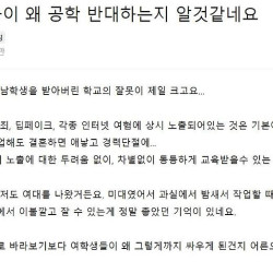 맘카페 밭갈이 하려다가 개쳐맞는 똥떡벌레년