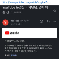 어제 올라온 사망여우 영상 또 명예훼손으로 차단당함