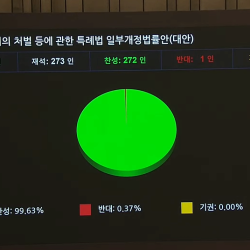 긴급속보) 성인 대상 딥페이크 위장수사법 국회 통과 찬성 272표